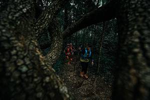 BIB: 
                            <button type="button" onclick="openModal(25688672)" class="btn btn-primary btn-sm float-right btn-popup" data-toggle="modal" data-target=".modal-high-quality">
                        <i class="fas fa-shopping-cart"></i> Add to Cart
                    </button>
                                            <button type="button" onclick="isThisMe(25688672, true)" class="btn btn-success btn-sm float-right btn-popup btn-isme hidden" data-toggle="tooltip" data-placement="bottom" title="นี่คือรูปของคุณใช่ไหม คลิกที่นี่เพื่อเอาเข้าอัลบั้ม">
                        <i class="fas fa-plus"></i> Add to album
                    </button>
                    <button type="button" onclick="isThisMe(25688672, false)" class="btn btn-warning btn-sm float-right btn-popup btn-isnotme hidden">
                        <i class="fas fa-ban"></i> Remove from album
                    </button>